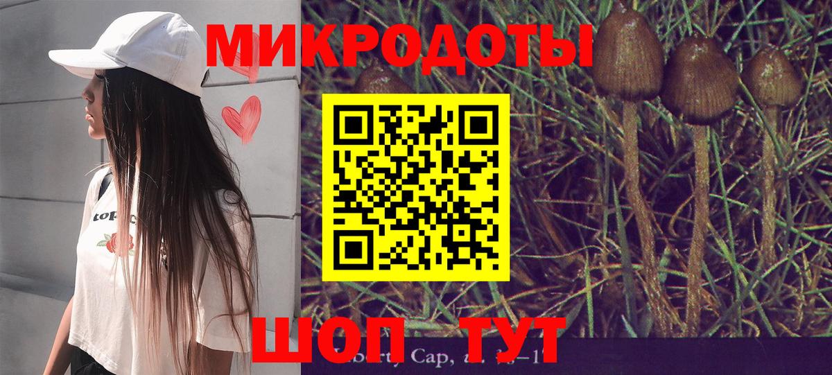 Галлюциногенные грибы GOLDEN TEACHER  Псилоцибиновые грибы Psilocybe  Петропавловск-Камчатский  Вход с VPN 